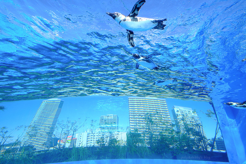 【東京】池袋陽光水族館：