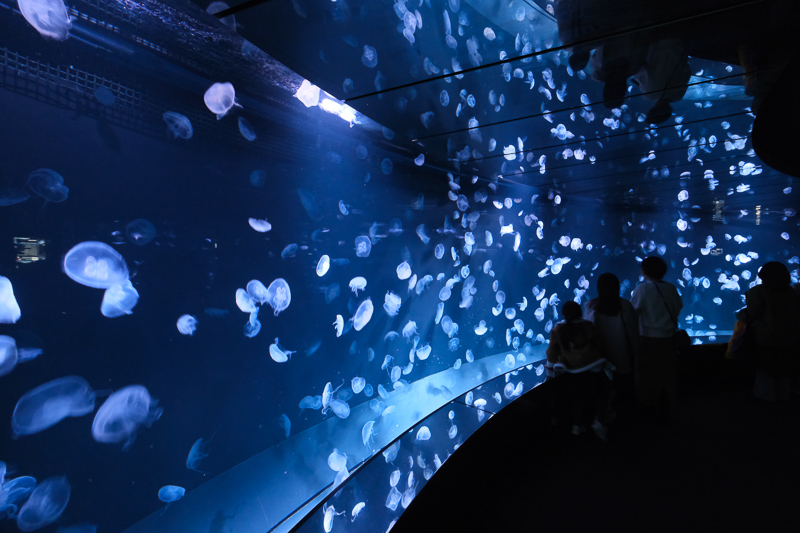 【東京】池袋陽光水族館：