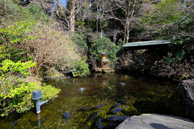 箱根神社