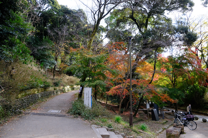 【宇治景點2024】宇治一日遊行程、交通美食全攻略！抹茶控必訪歷史古都