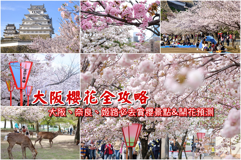 【大阪櫻花景點】2024必去關西大阪賞櫻景點＆櫻花季時間預測總整理
