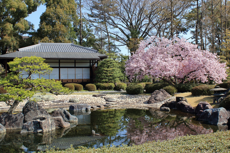 【京都】元離宮二條城：世界遺產！著名大政奉還場地，櫻花楓葉也