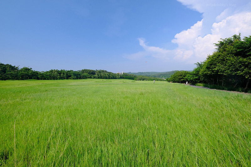 【新竹】青青草原：54公尺長溜滑梯、五大草原、健行步道，免門
