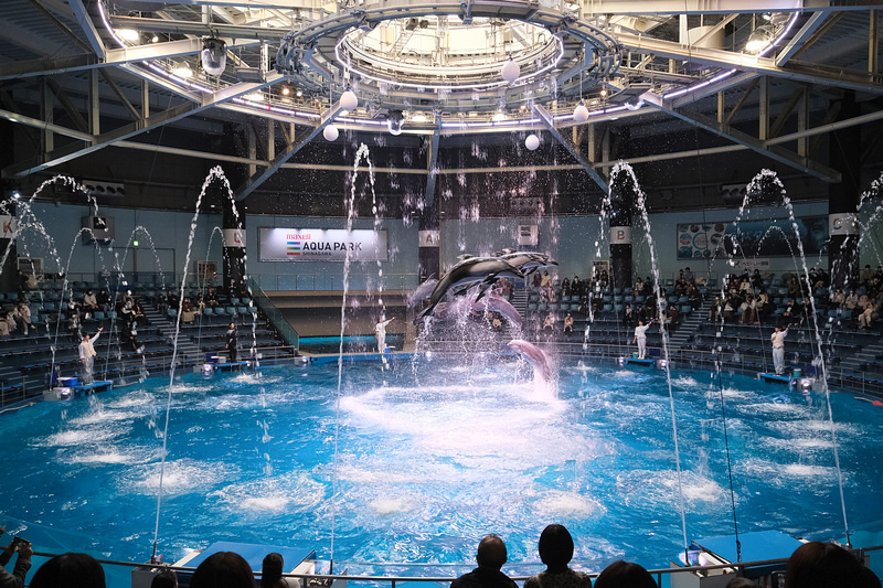 【東京】品川水族館Maxell Aqua Park：海豚秀超驚豔！門票優惠＆交通彙整