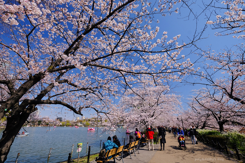【東京上野公園】上野恩賜公園地圖攻略！櫻花楓葉＆交通美食必去