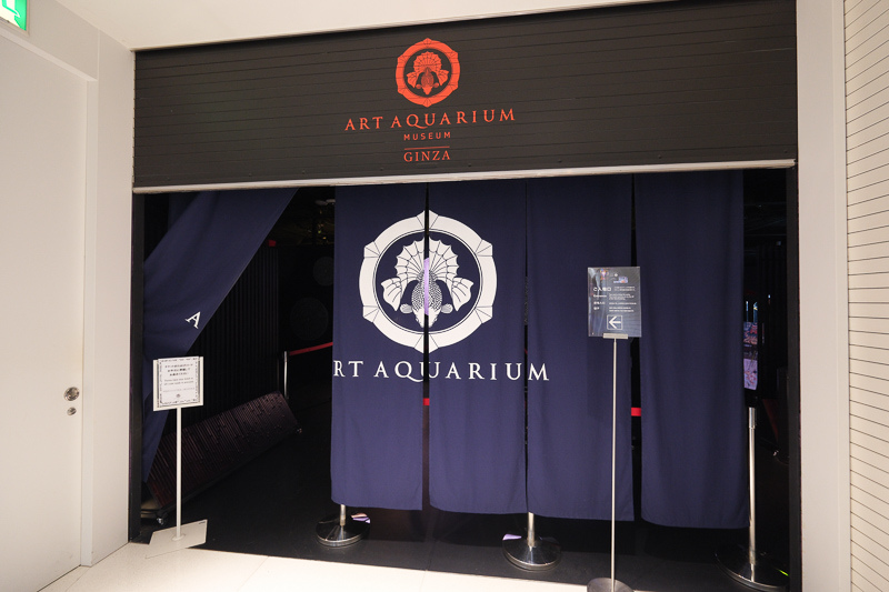 【東京】銀座藝術水族館Art Aquarium Museum