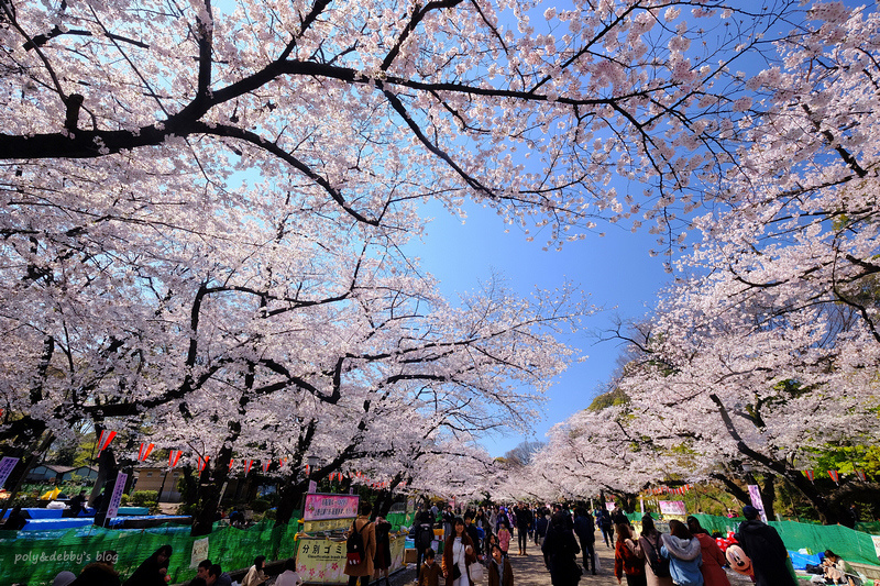 【東京上野公園】上野恩賜公園地圖攻略！櫻花楓葉＆交通美食必去
