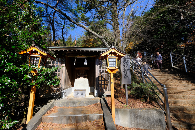 【河口湖】新倉富士淺間神社：絕美富士山景色！忠靈塔、鳥居櫻花