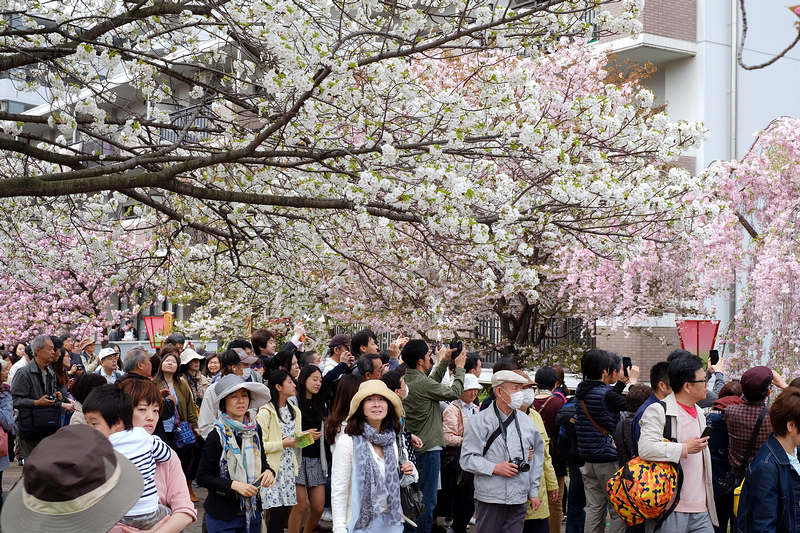 【2024大阪景點推薦】Top15個大阪自由行必去景點！來大