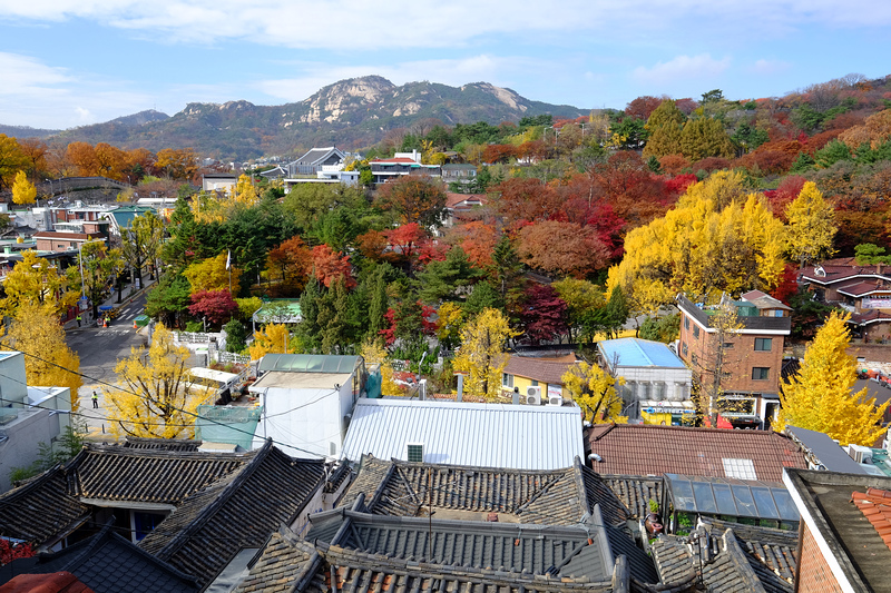 【韓國首爾】：北村與三清洞 ♥ 火紅楓葉與金黃銀杏，上帝打翻調色盤，繽紛秋色流連忘返