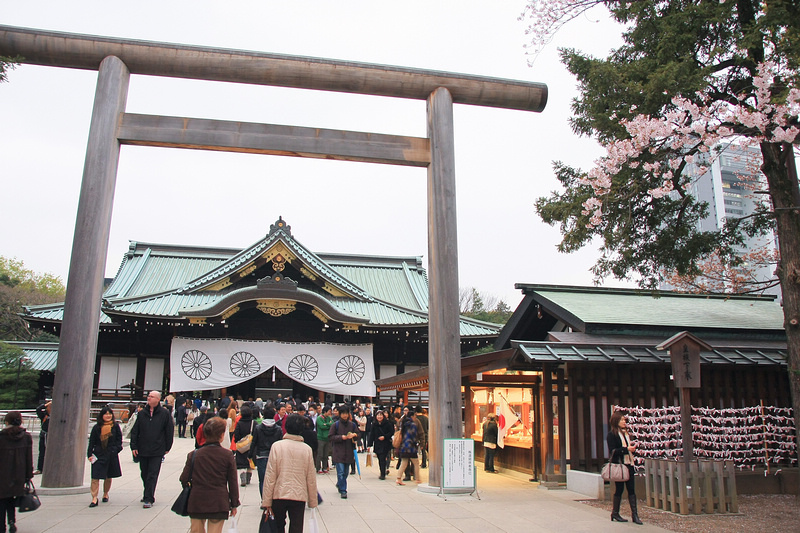 【東京】靖國神社：櫻花標準木在此！賞櫻花況指南樹，參拜爭議之地