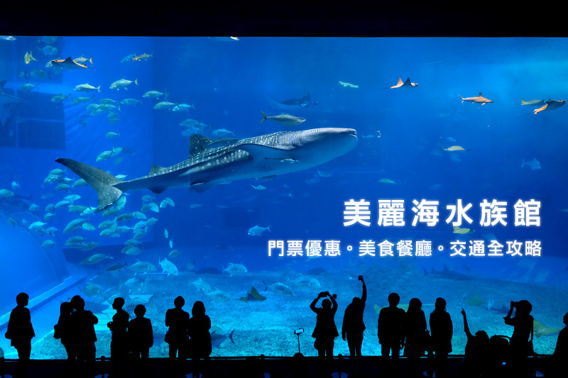 【沖繩】美麗海水族館：必看表演、美食必買、門票交通全攻略