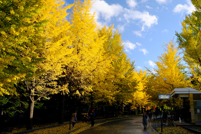 【札幌】中島公園：秋天楓葉、冬天滑雪都好玩！好評Vessel
