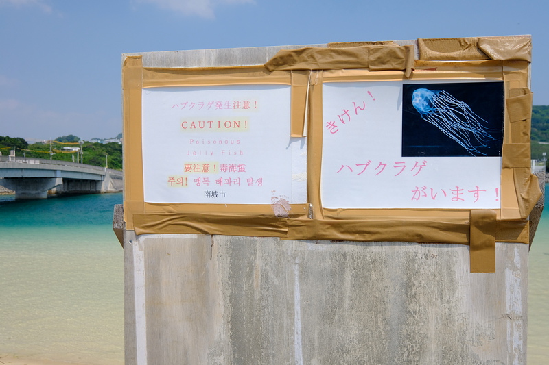 【沖繩】奧武島：貓島美食交通全攻略！暗藏美味天婦羅的純樸小漁