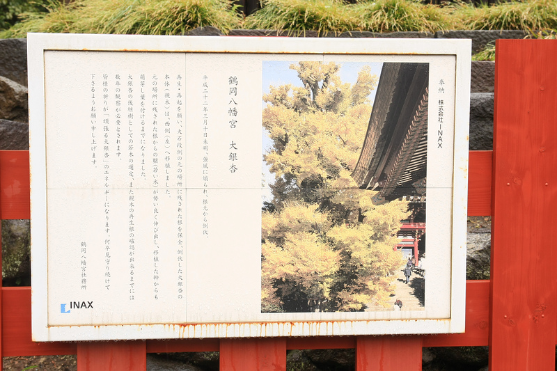 【鎌倉】鶴岡八幡宮：鎌倉最古老神社，