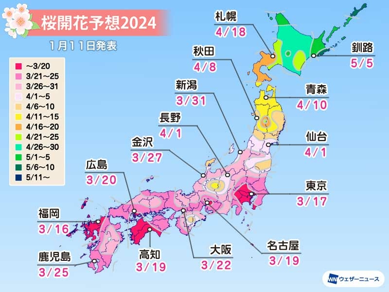 【日本櫻花前線預測】2024日本櫻花季賞櫻情報、滿開時間總整