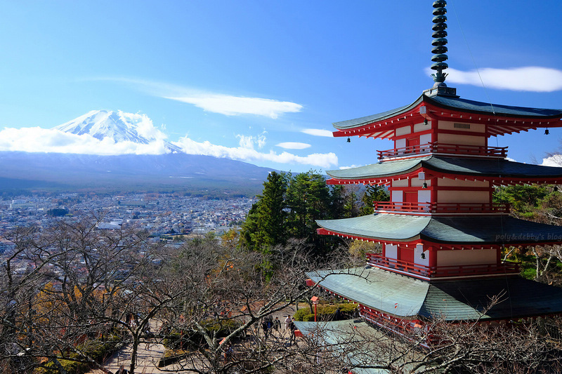 【河口湖】新倉富士淺間神社：絕美富士山景色！忠靈塔、鳥居櫻花