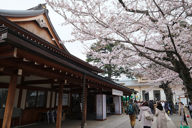 【東京】靖國神社：櫻花標準木在此！賞櫻花況指南樹，參拜爭議之