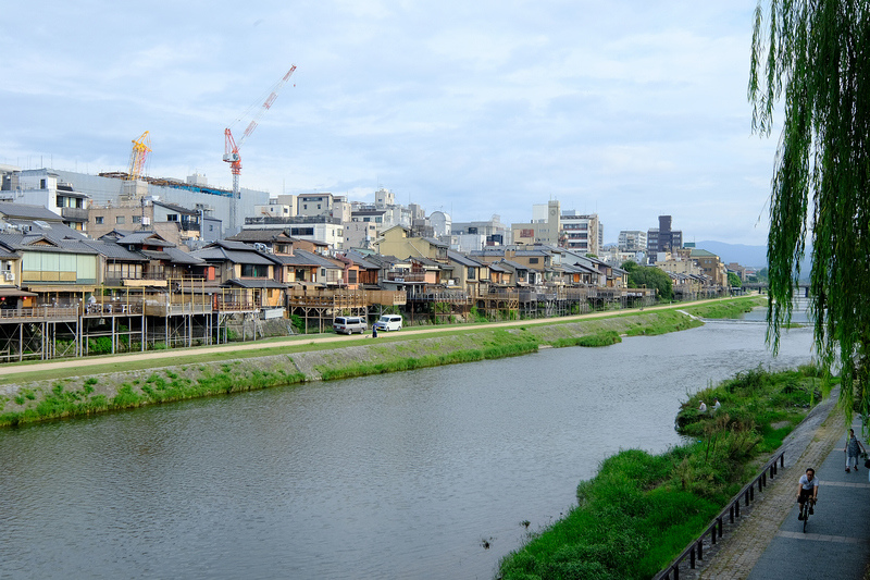 【京都】鴨川：納涼床＆跳烏龜好有趣！景點櫻花、美食交通＆一日