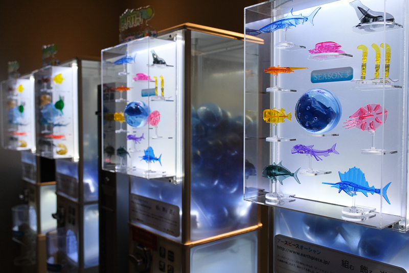 【東京】墨田水族館：晴空塔內超萌企鵝水母！門票優惠＆必看重點