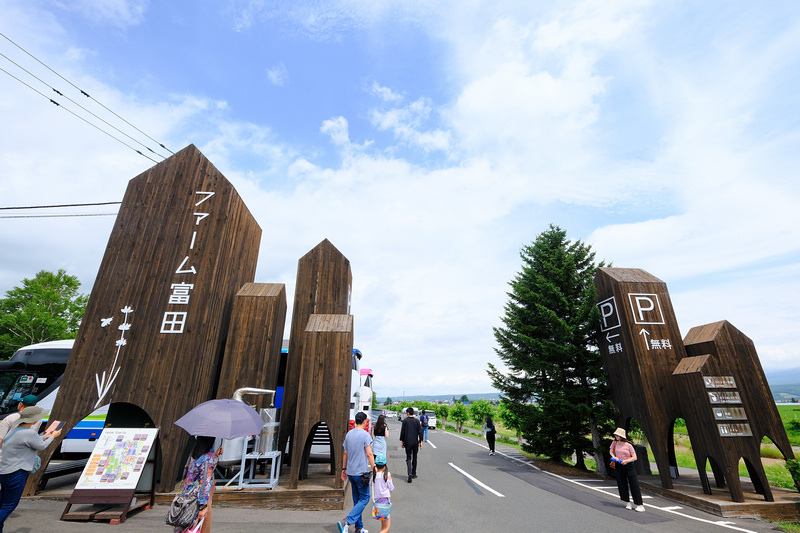 【北海道】富田農場：薰衣草花季美到爆炸！富良野花田最強景點狂