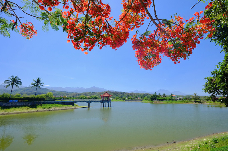 【高雄】美濃湖：高雄市第二大湖！釣魚、騎腳踏車、步道散步好愜意