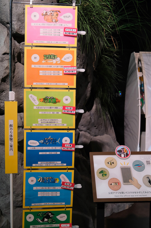 【沖繩】DMM Kariyushi水族館：餵食必看重點＆門票
