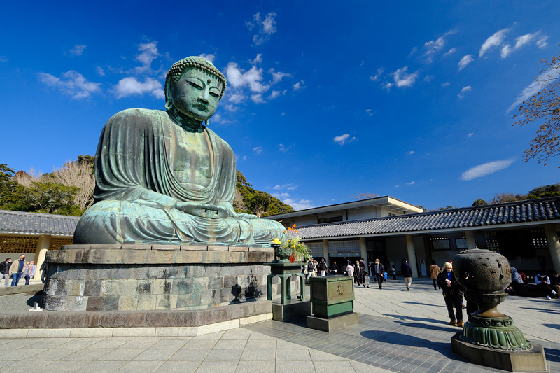 【鎌倉】鎌倉大佛殿高德院：日本第二高青銅佛像！在地神聖象徵景點必去