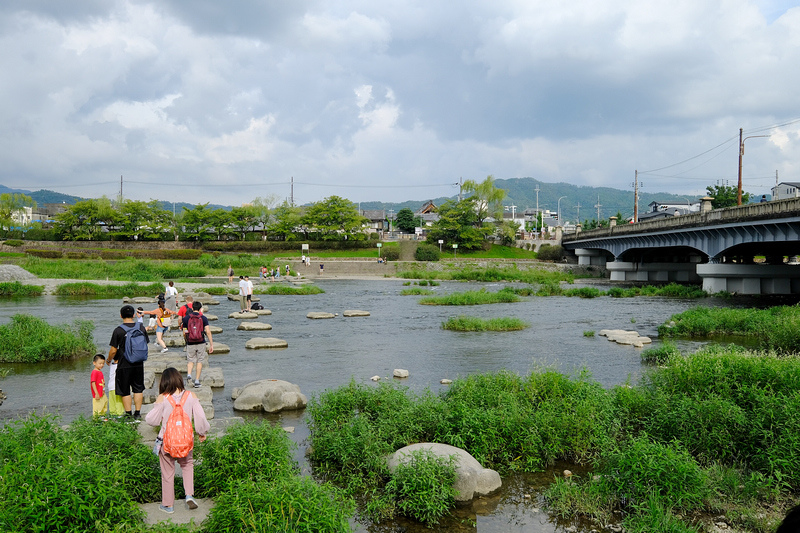 【京都】鴨川：納涼床＆跳烏龜好有趣！景點櫻花、美食交通＆一日