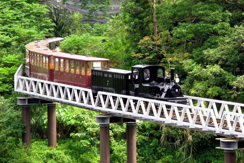 【沖繩】名護自然動植物公園：零距離接觸動物！鐵道火車和飛禽表