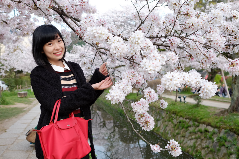 【京都】哲學之道櫻花＆美食：少女心大爆發，粉紅色櫻花河道太浪
