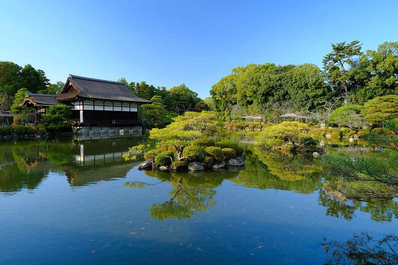 【京都】平安神宮：紀念建都千年而建！神苑櫻花夜櫻點燈＆楓葉必