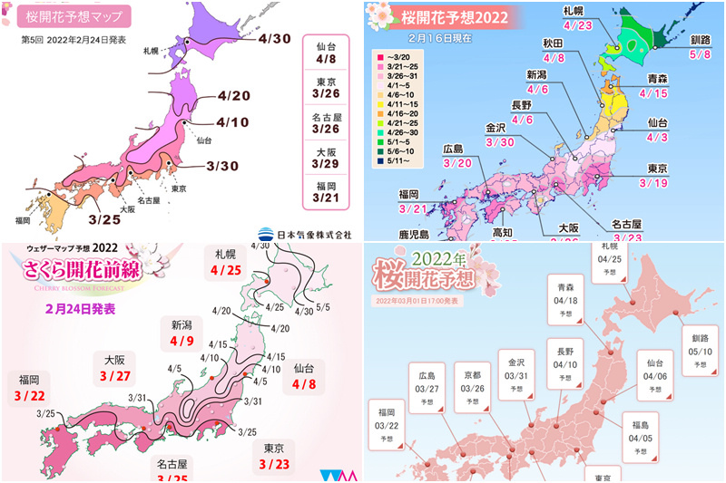 日本櫻花預測2022.jpg