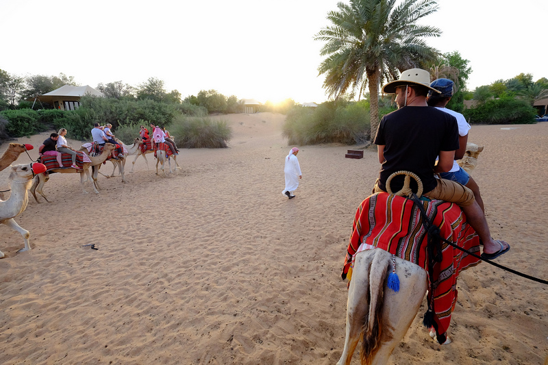 【杜拜住宿推薦】：沙漠綠洲渡假村Al Maha Desert Resort & Spa ♥ 與駱駝的親密接觸