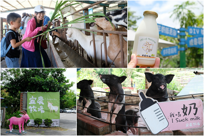 【宜蘭】宜農牧場：門票漲到150元！餵小動物、擠羊奶，親子一日遊必玩