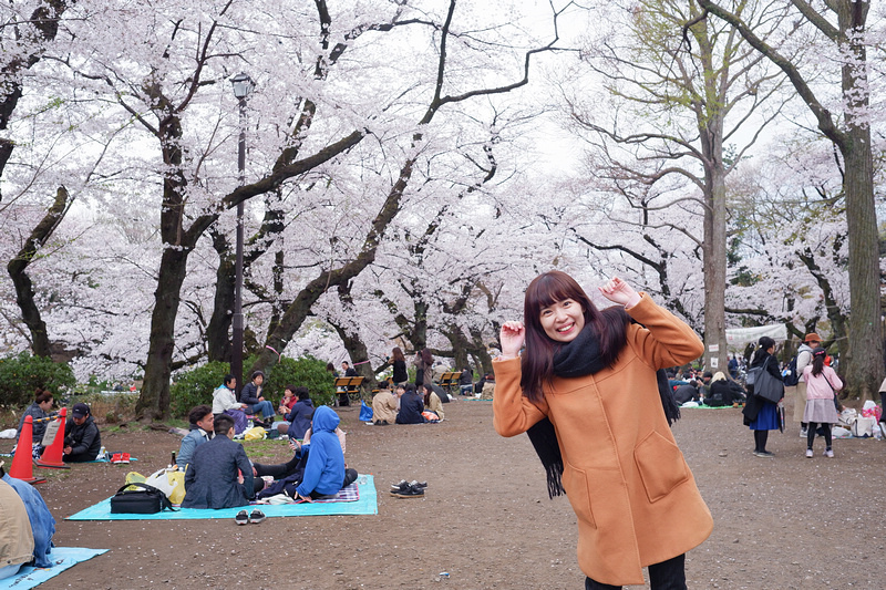 【東京吉祥寺】井之頭恩賜公園：看櫻花、野餐踩天鵝船，楓葉也很