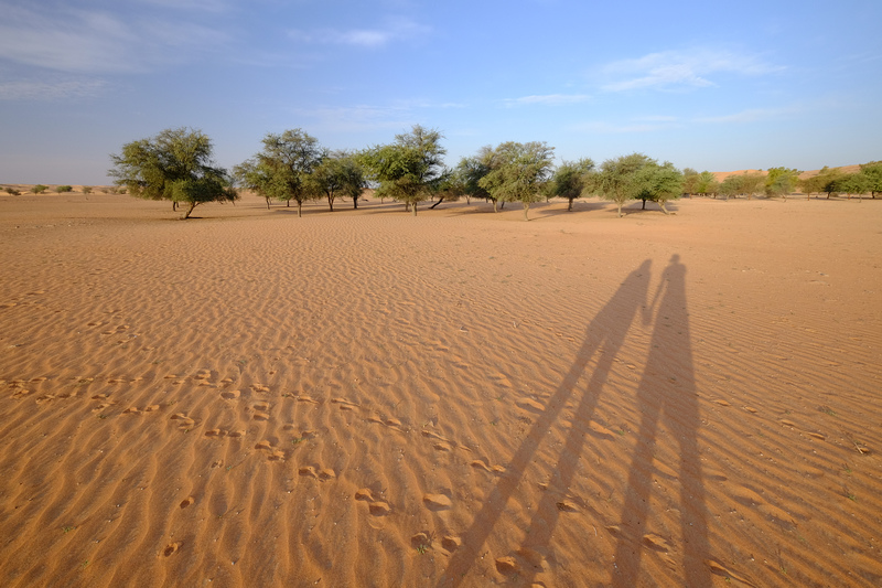 【杜拜住宿推薦】：沙漠綠洲渡假村Al Maha Desert Resort & Spa ♥ 全球獲獎無數（環境篇）