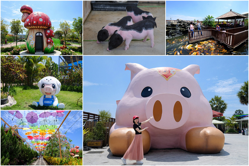 【嘉義】三隻小豬觀光農場：可愛動物、沙坑、戲水池超好玩！門票交通菜單介紹