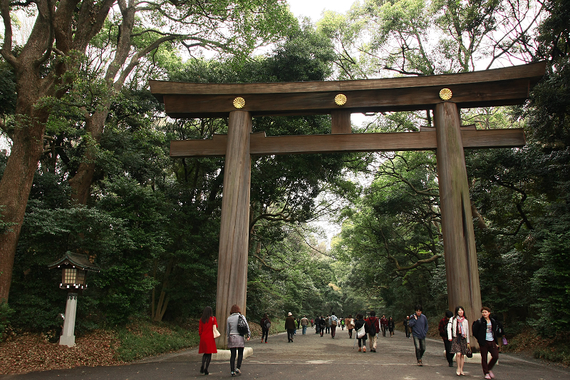 【東京】明治神宮：鳥居御守景點地圖、交通美食＆附近景點一日遊
