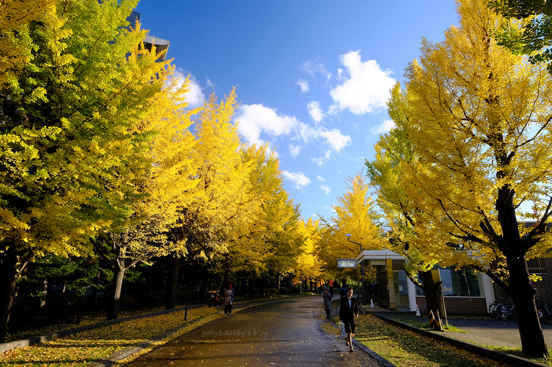 【札幌】中島公園：秋天楓葉、冬天滑雪都好玩！好評Vessel Inn就在旁