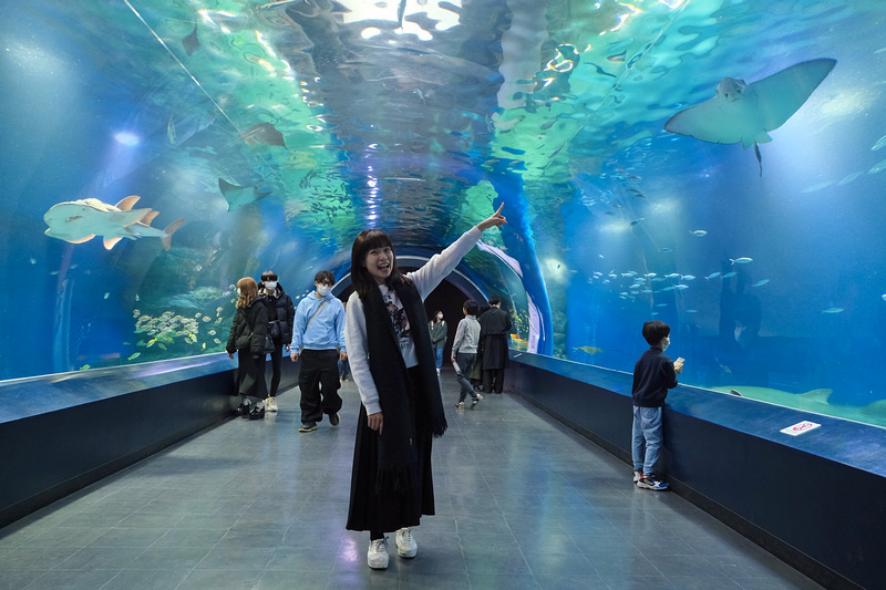 【東京】品川水族館Maxell Aqua Park：海豚秀超