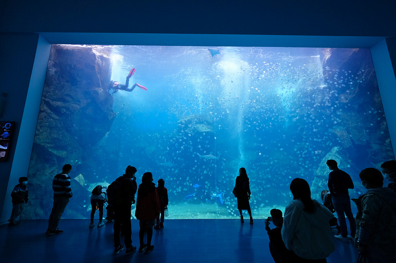 【桃園Xpark水族館】2024最新必看亮點、門票優惠、玩樂