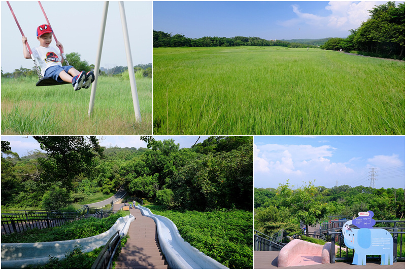 【新竹】青青草原：54公尺長溜滑梯、五大草原、健行步道，免門票好好玩