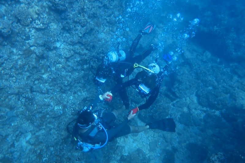 【沖繩浮潛潛水推薦】青之洞窟：海水清澈魚群超多，費用不貴兒童