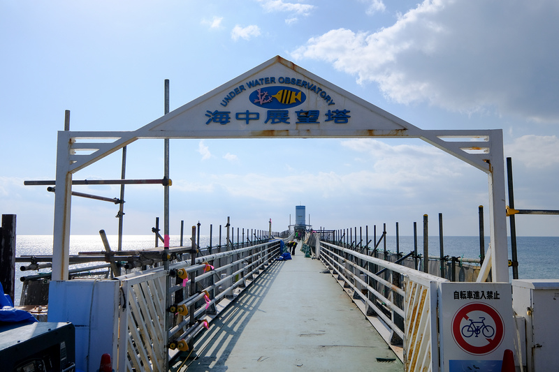 【沖繩】部瀨名海中公園：海中展望塔＆玻璃船門票優惠，暢遊海中