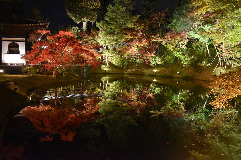 【京都楓葉景點】2024必去京都賞楓景點、紅葉時間情報＆行程