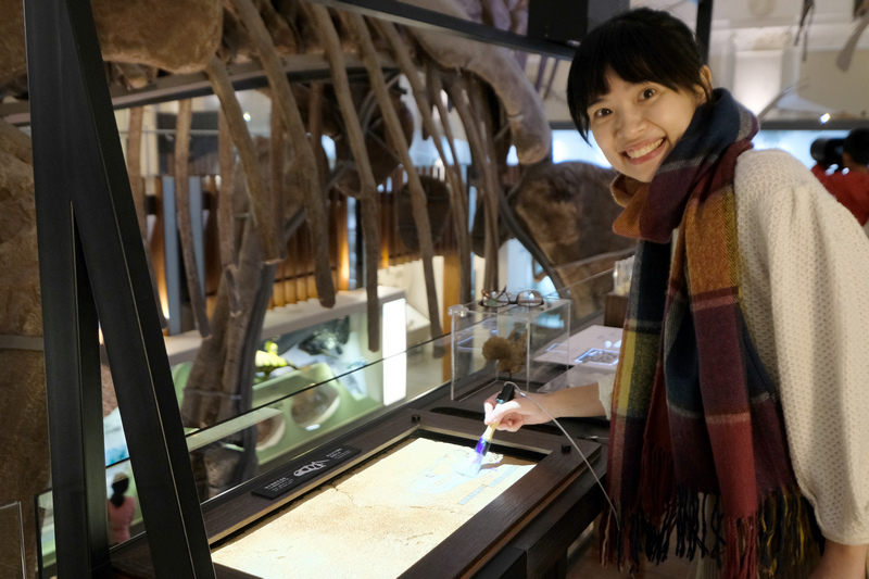 【台北】國立台灣博物館(土銀展示館)：巨型恐龍超吸睛，門票僅
