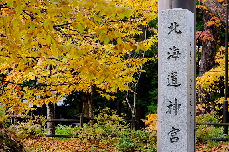 【札幌】北海道神宮：北海道第一大神社！超萌Kitty御守＆美