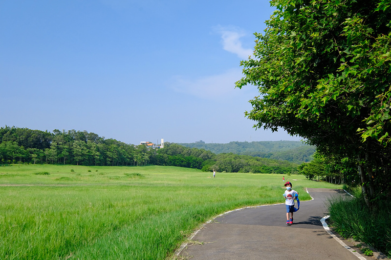 【新竹】青青草原：54公尺長溜滑梯、五大草原、健行步道，免門