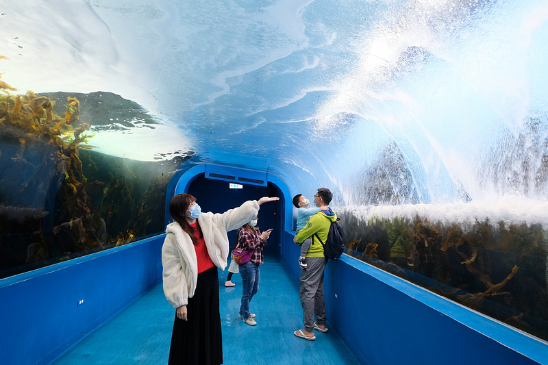 【桃園Xpark水族館】2024最新必看亮點、門票優惠、玩樂
